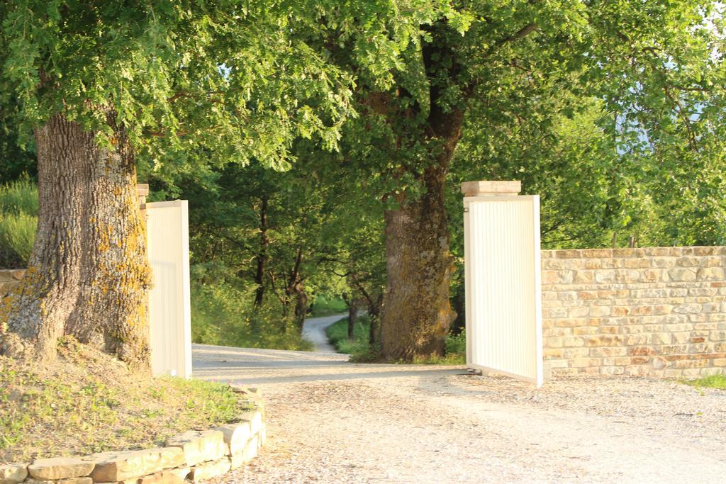 Amico Country House Serra San Quirico Exterior foto