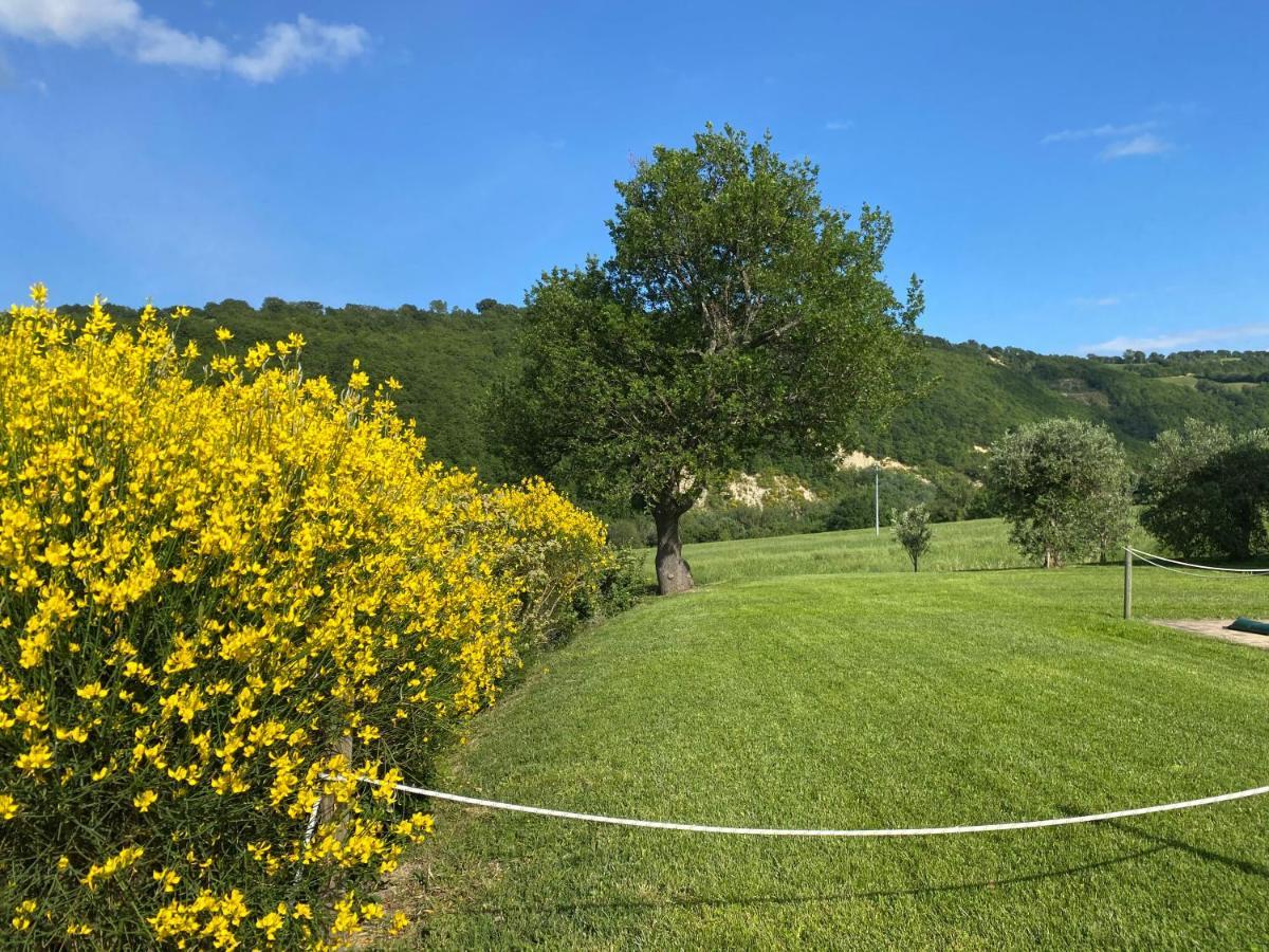 Amico Country House Serra San Quirico Exterior foto